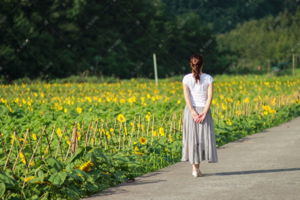 武汉桑拿，享受非凡体验的秘密流程大揭秘！